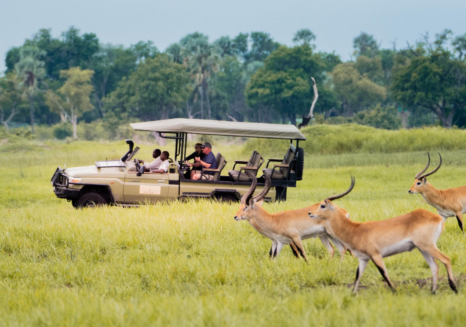 game drive