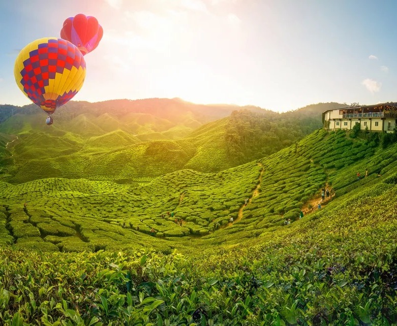 Cameron Highlands