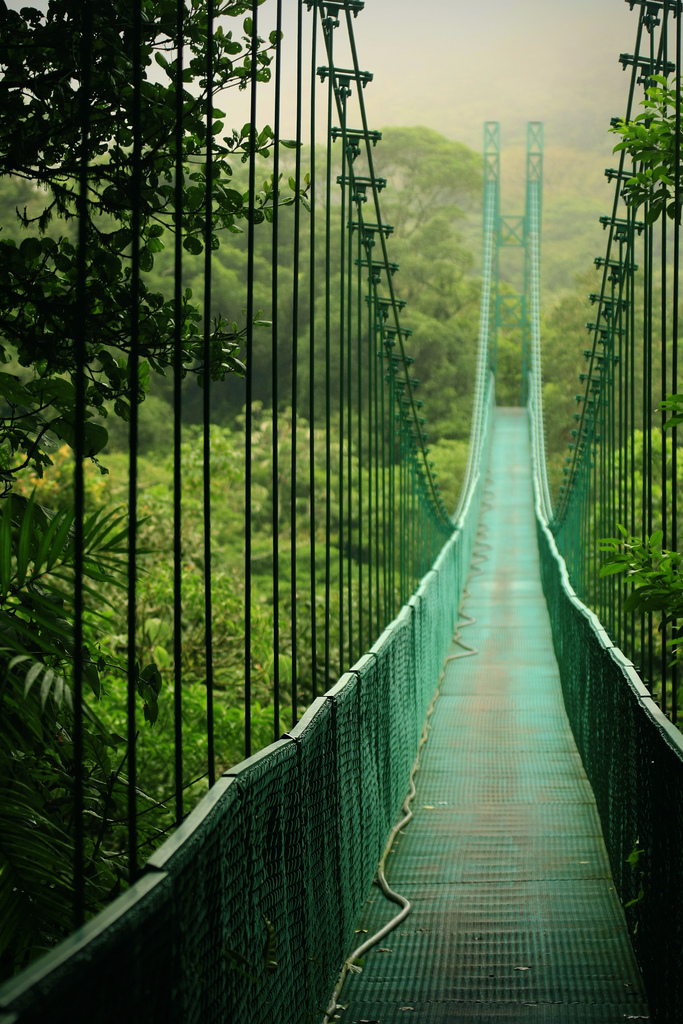 Taman negara