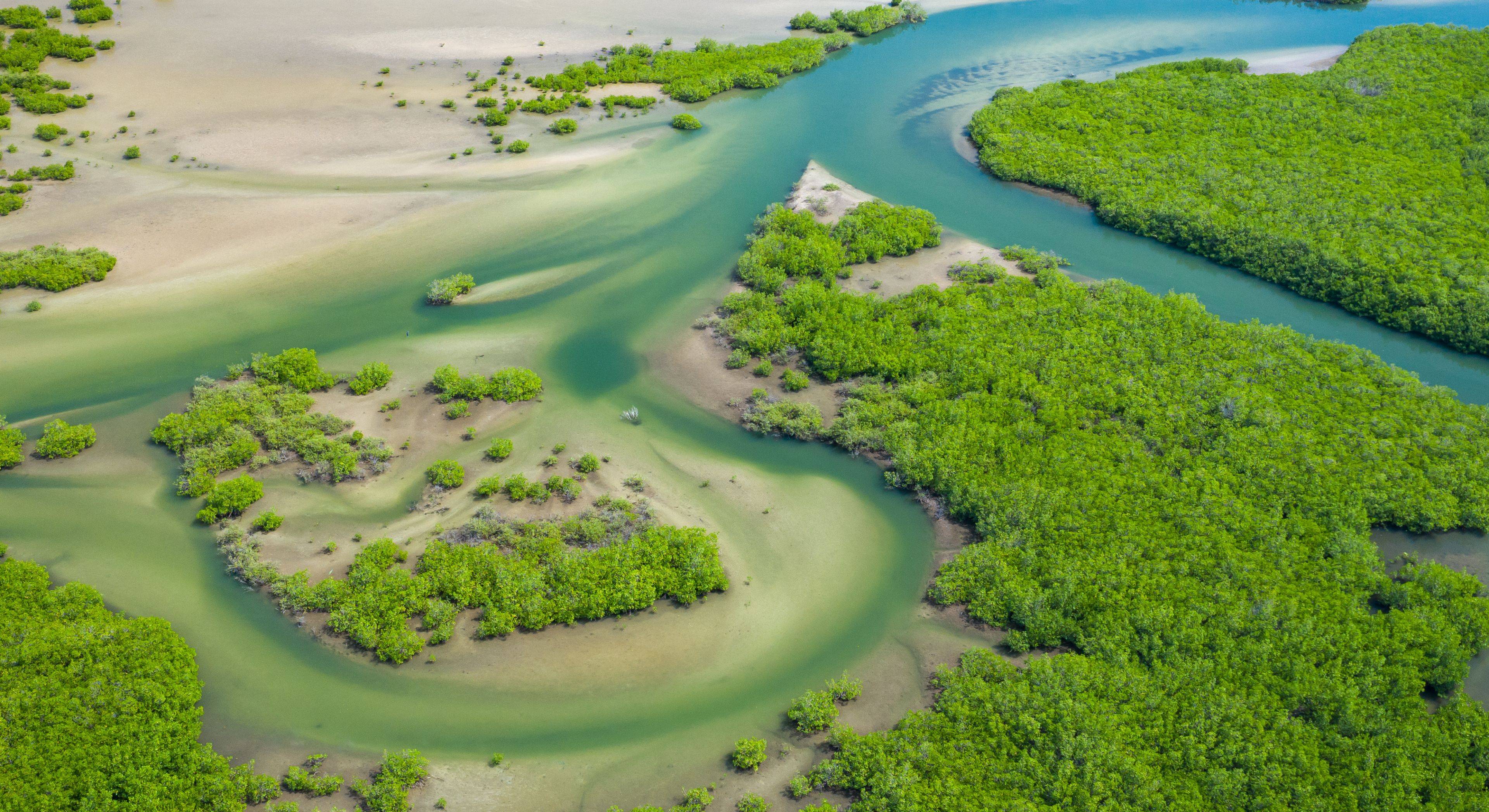 Delta del Saloum