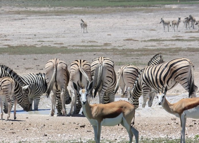 Etosha Pan