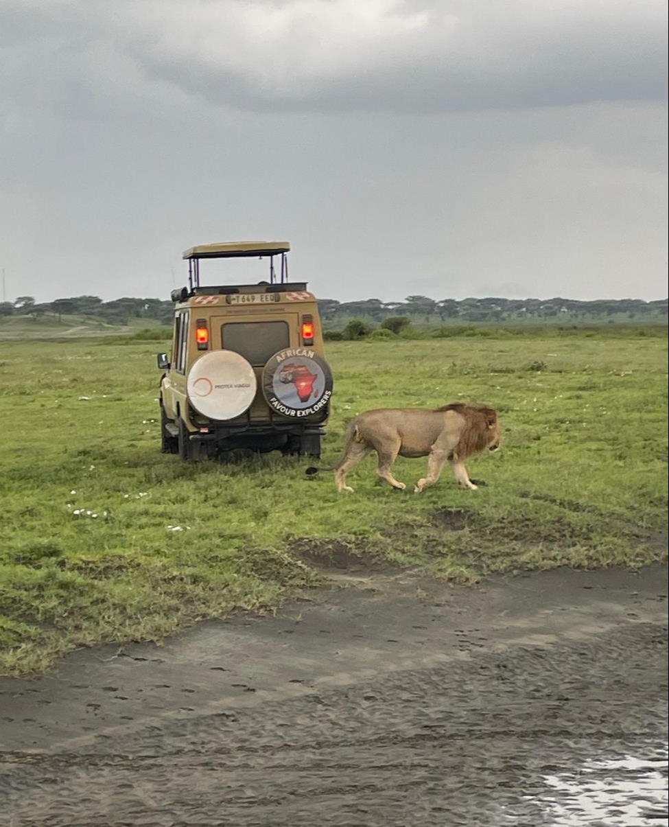 Manyara National Park