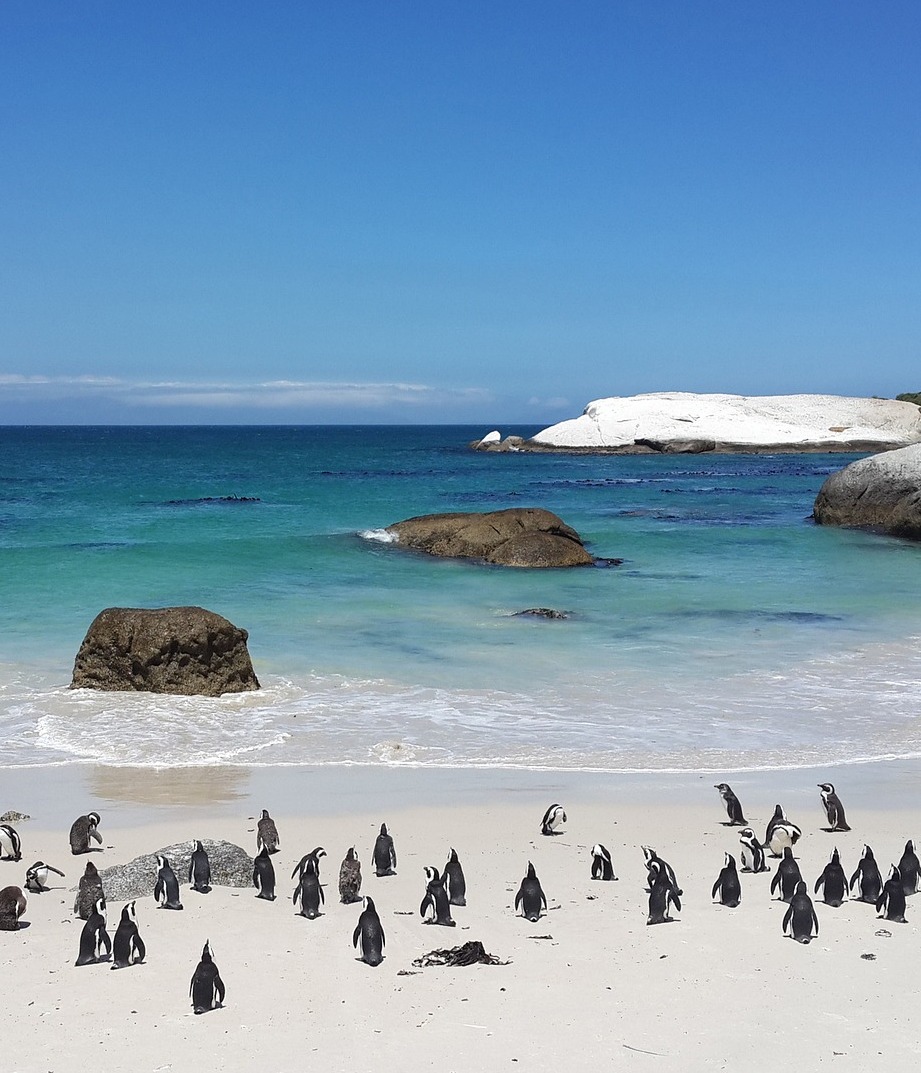 Boulders Beach