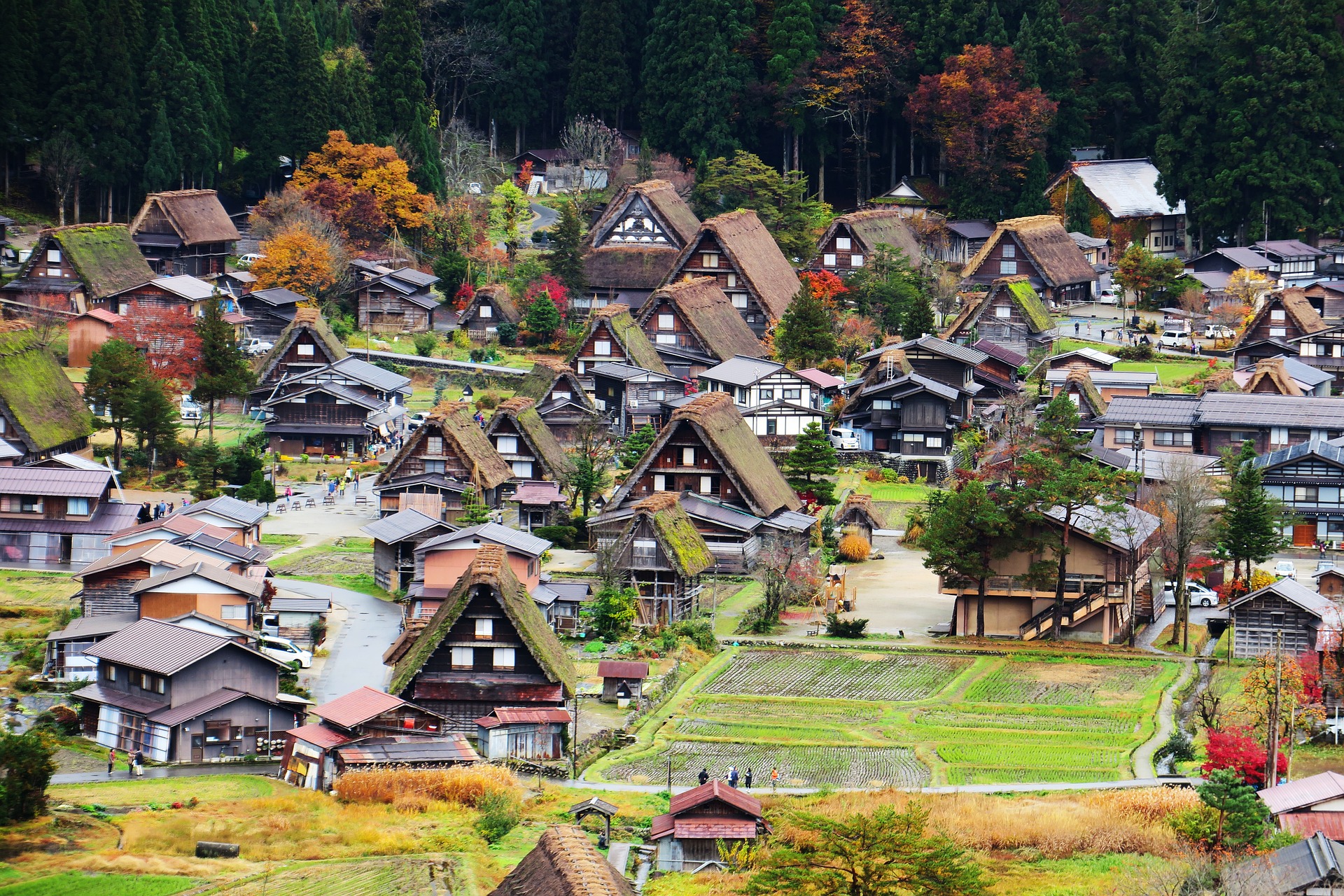 SHIRAKAWAGO