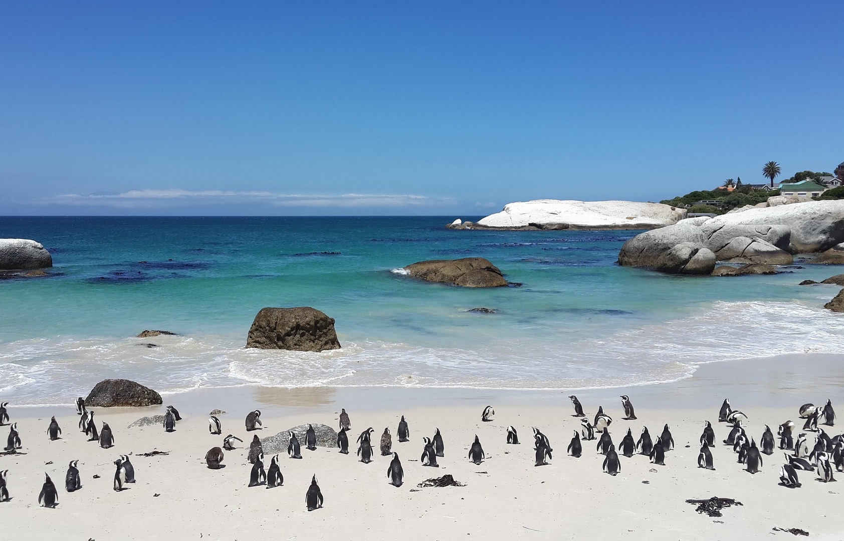 Boulders Beach