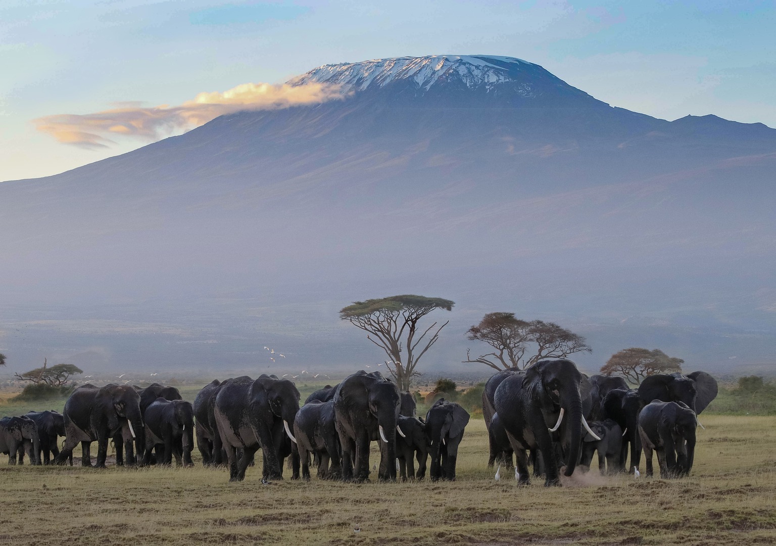 amboseli