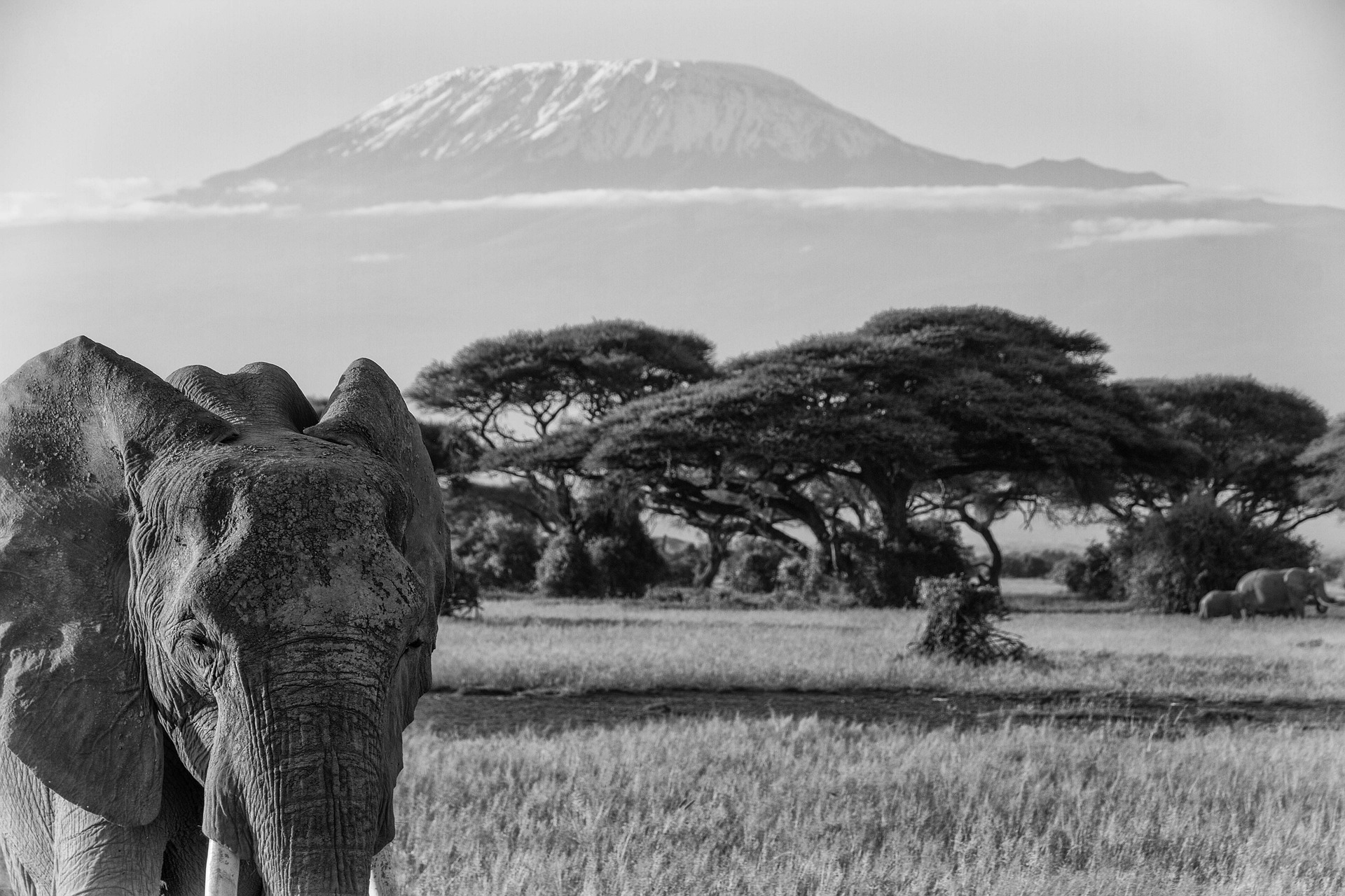 Arusha