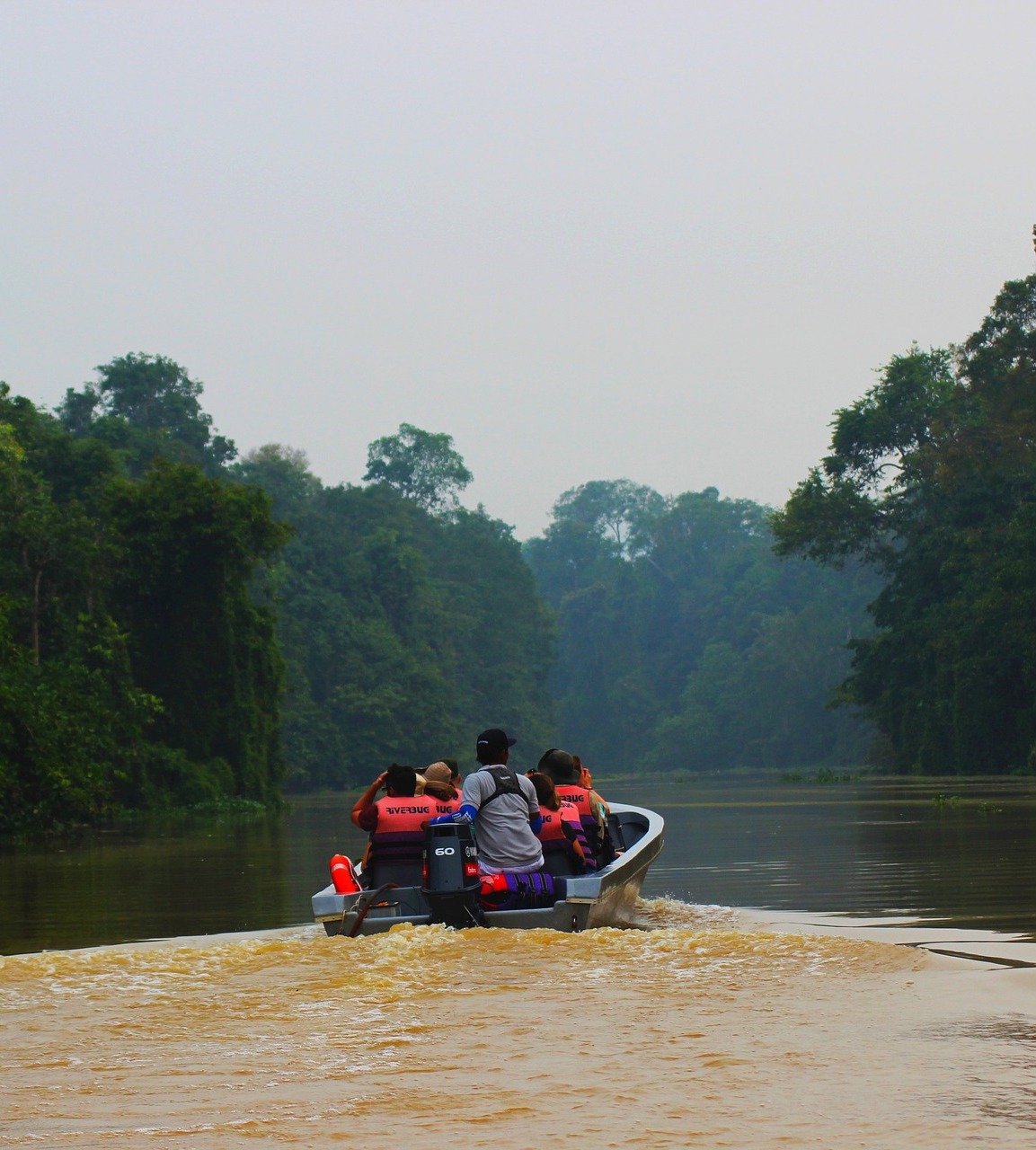 borneo