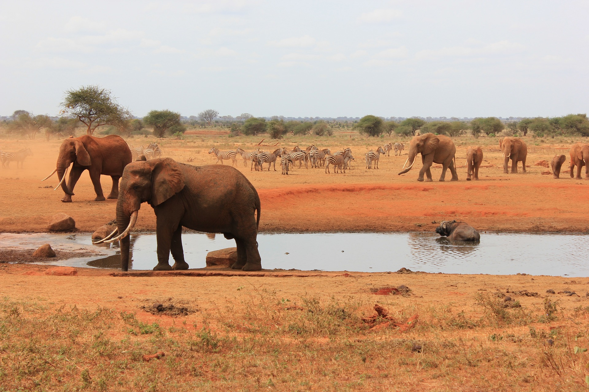 tsavo