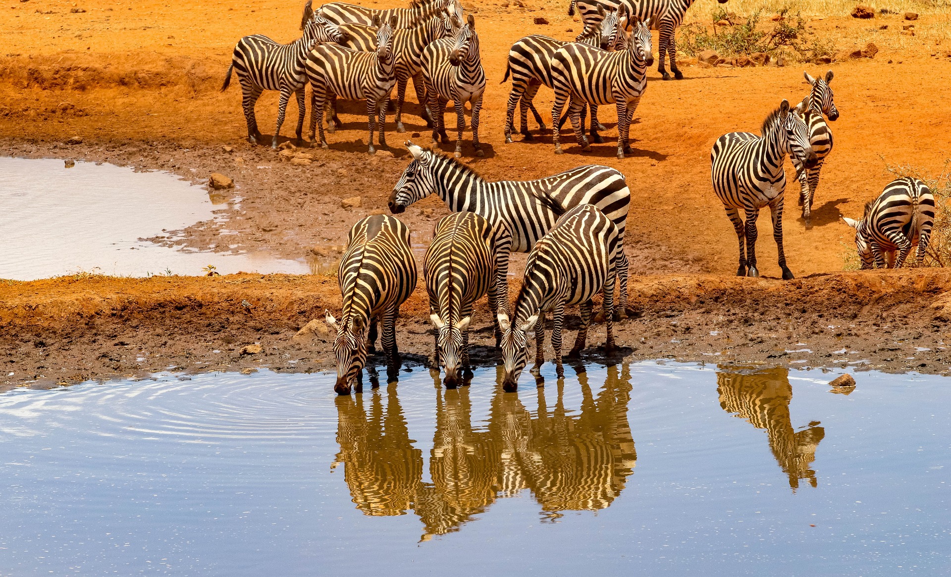 nairobi