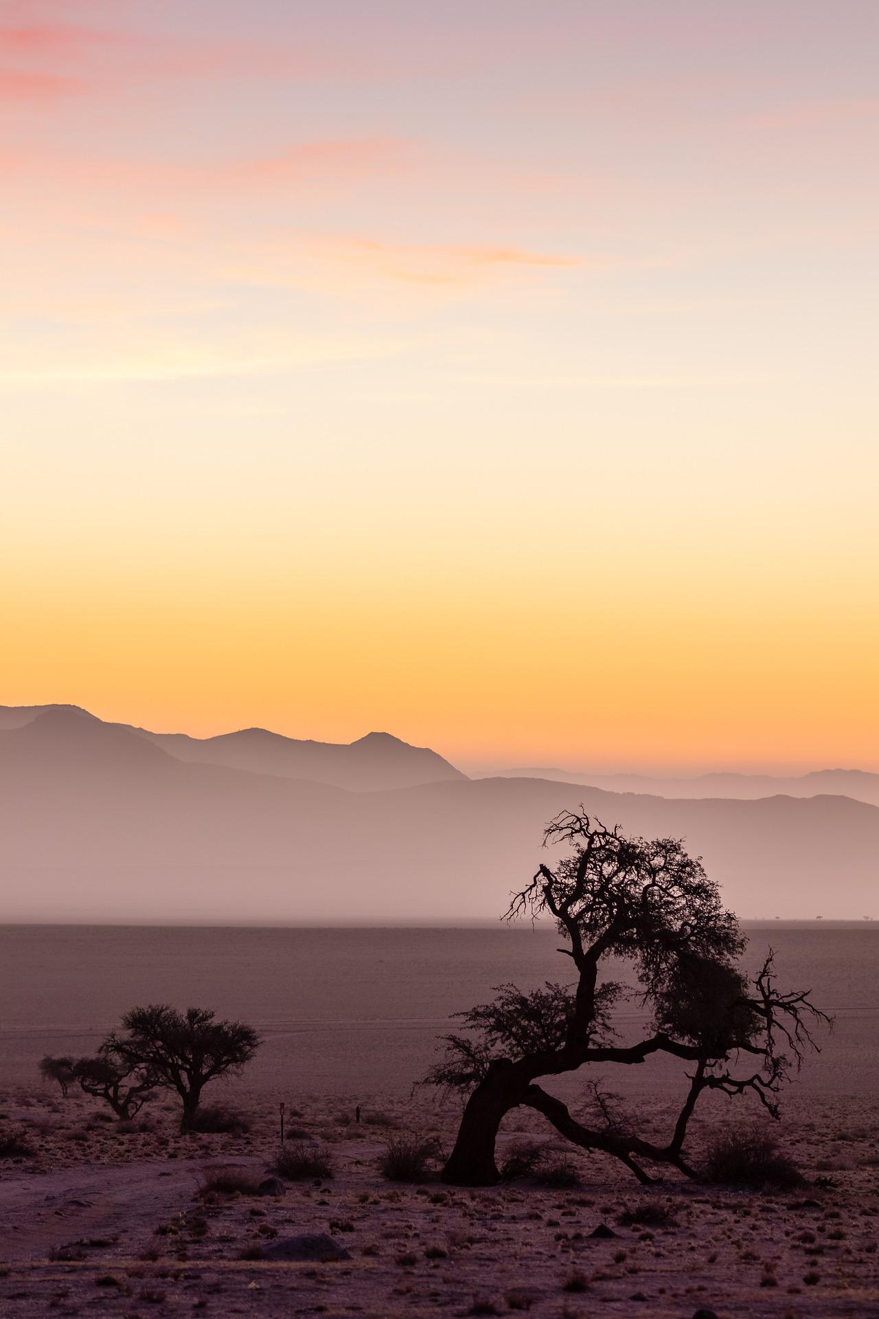 etosha sud