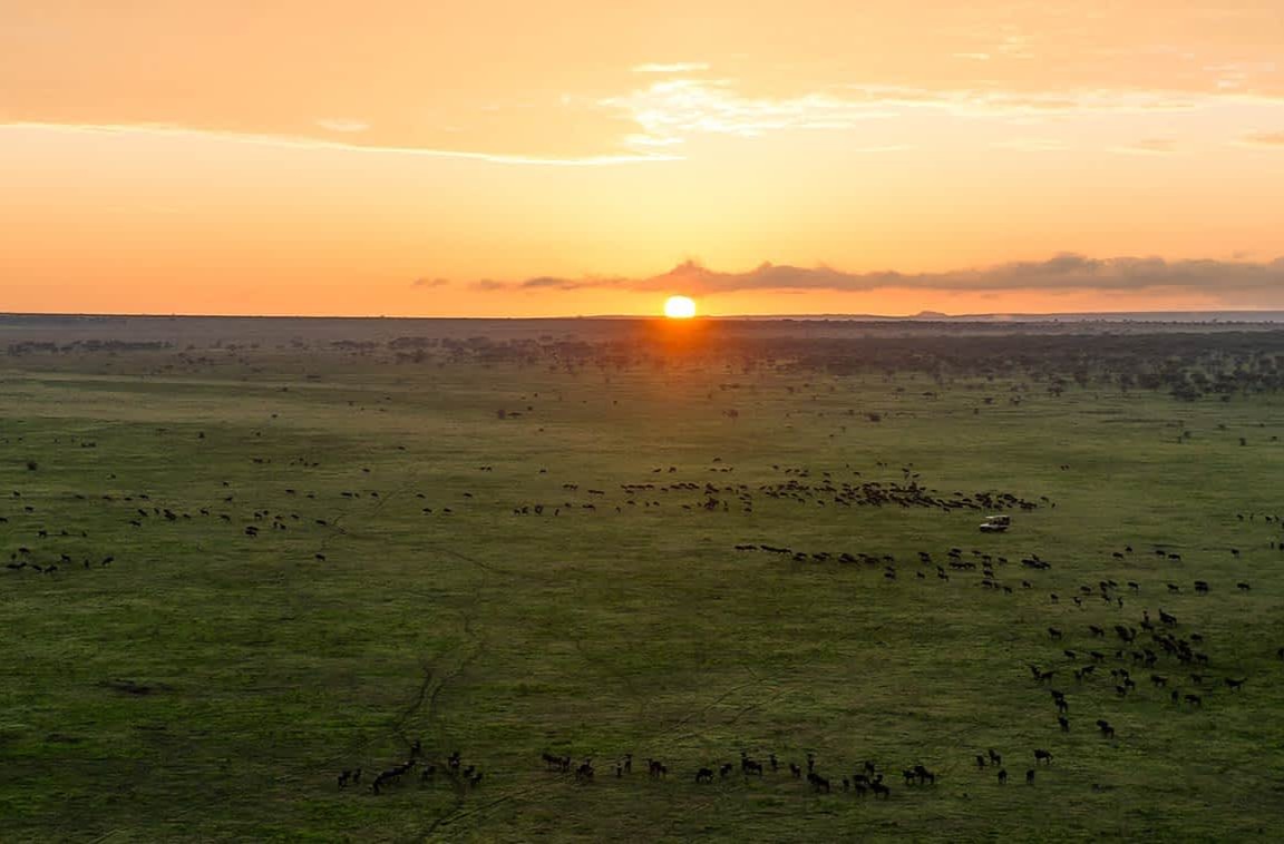 Cratere Ngorongoro