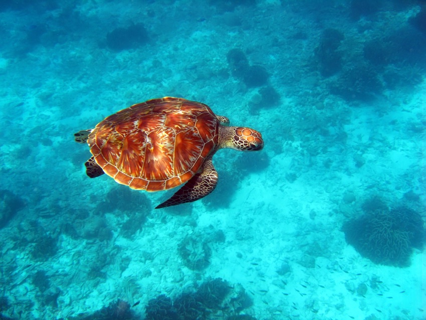 perhentian