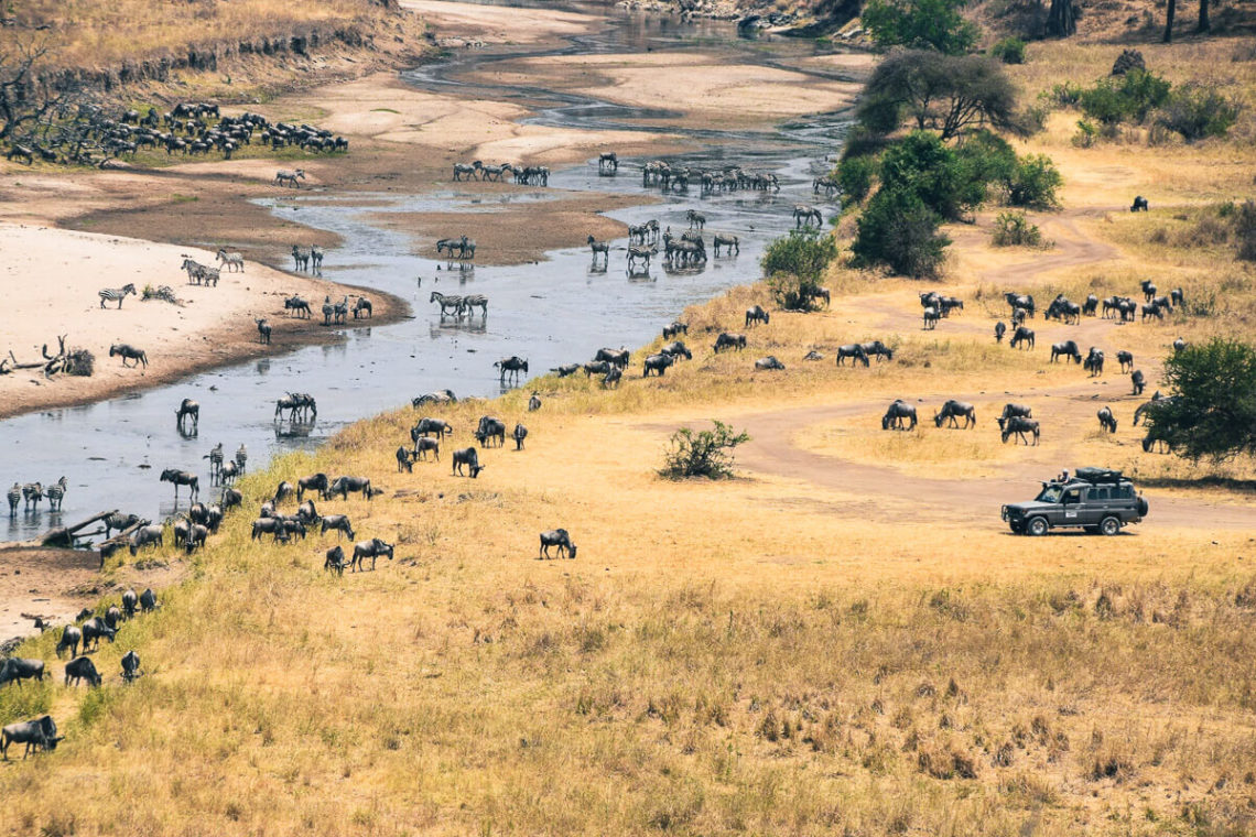 Tarangire